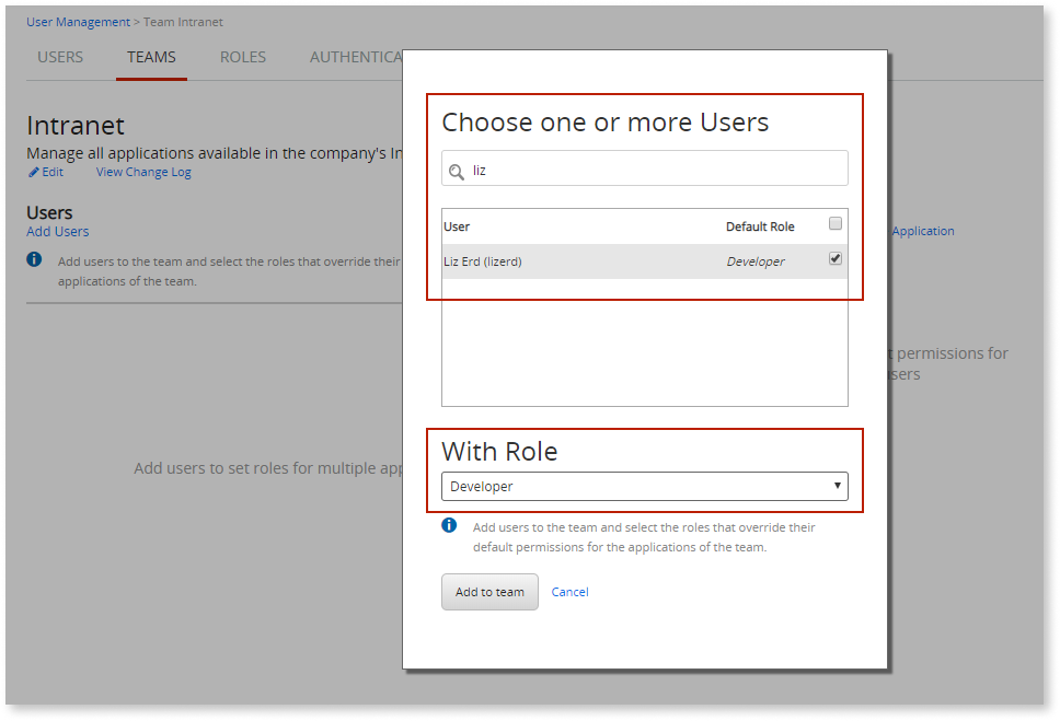 Create an IT Team - OutSystems 11 Documentation